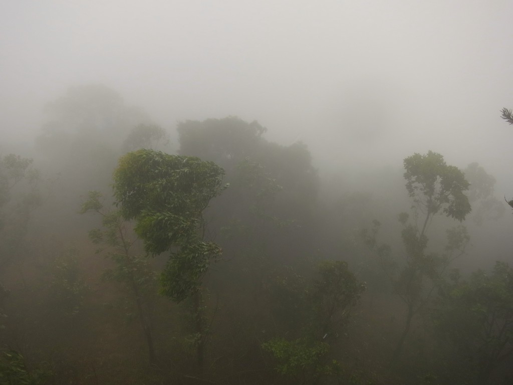 Уште ветар и магла - овојпат креирани од Јавното обвинителство за уште поголема конфузија. Фото: vhines200, 2014