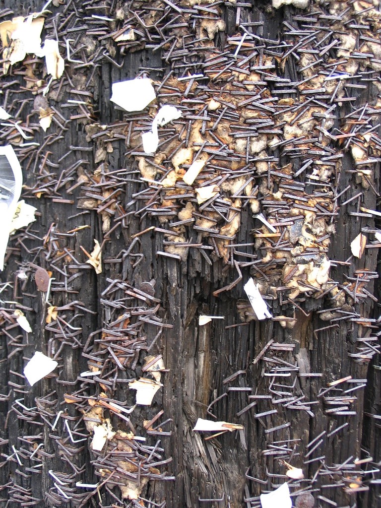 Дрвото на хефталиците - остаток од пренатрупаноста со информации. Фото: sookie, 2004